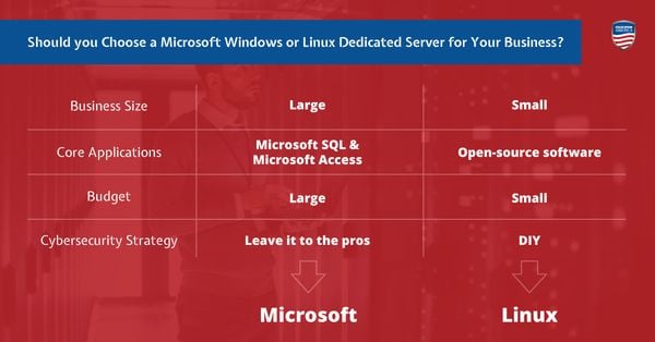 linux or windows server business